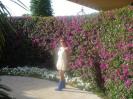 Ana Maria Gheorghe in parc