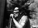 Bob Marley la microfon