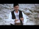 Nicolae Guta canta